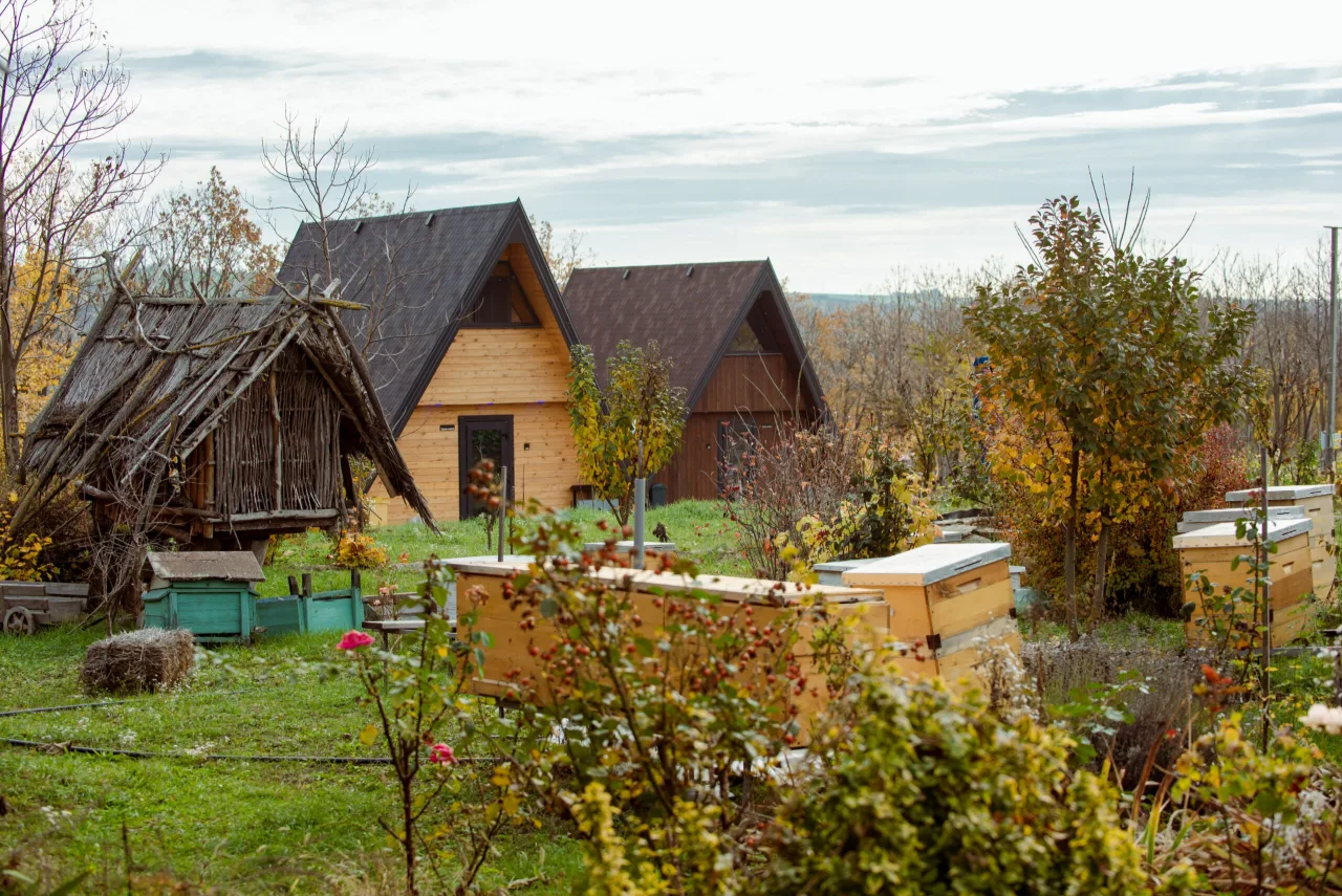 Photo of Saharna - Țiglău