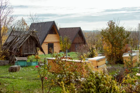 Photo of Saharna - Țiglău