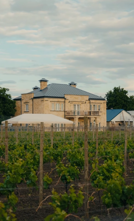 Photo of KISLOV Winery
