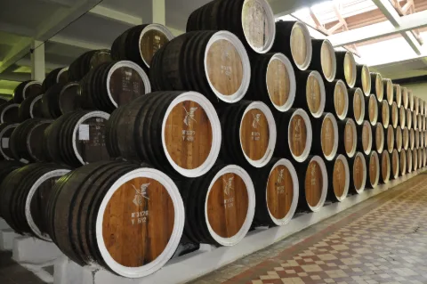 Photo of Barza Albă Cognac Distillery