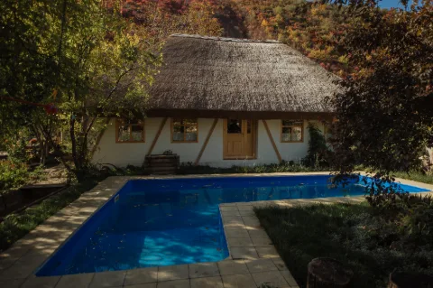 Photo of Casa din luncă