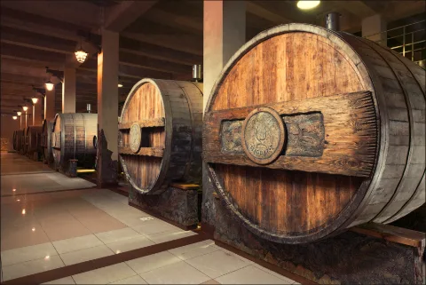 Photo of Chateau Cojusna Winery
