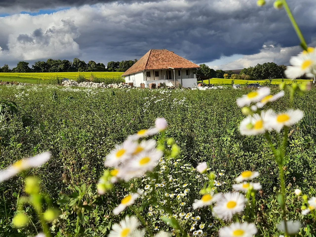 Photo of Curtea Țărănească