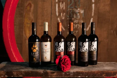 Photo of Gitana Winery