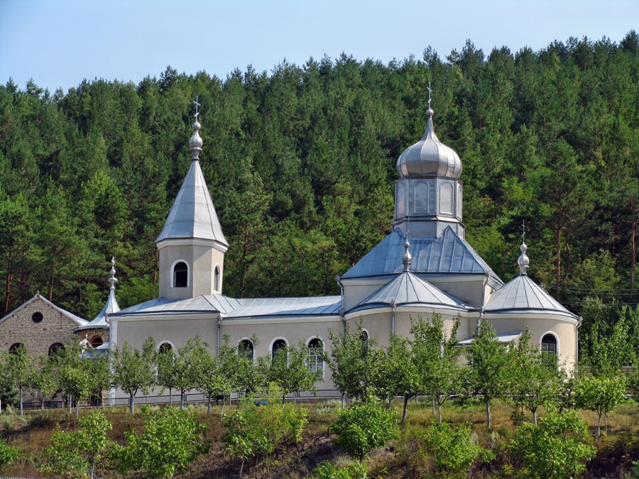 Photo of Cosauti Monastery