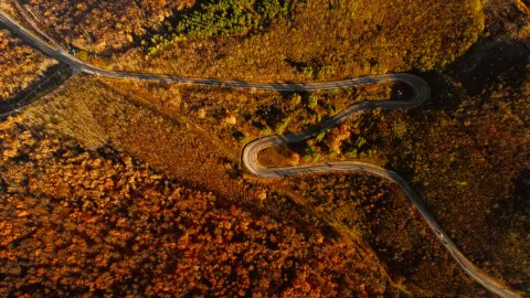 Photo of “Plaiul Fagului” natural reserve