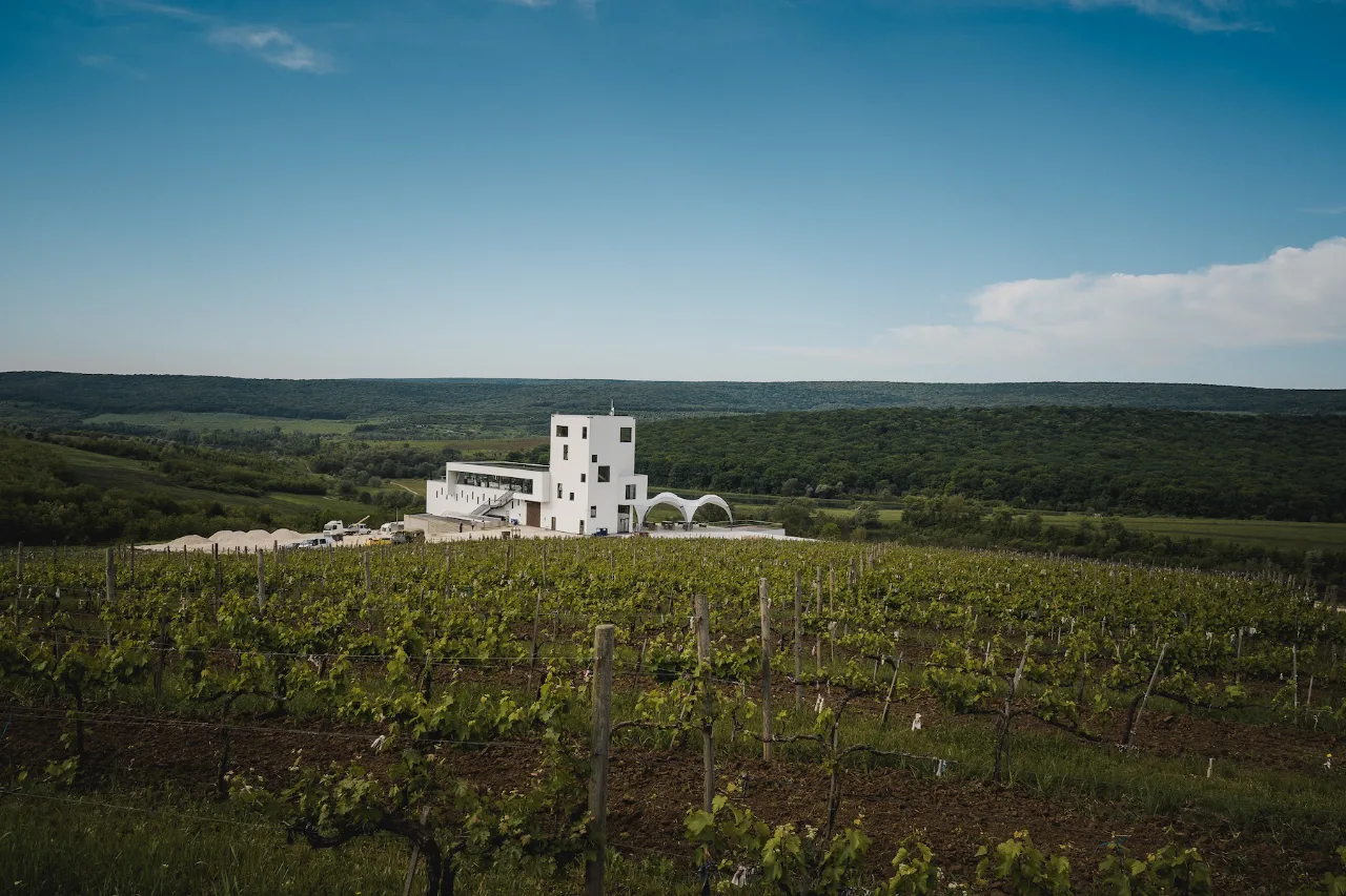 Photo of Poiana Winery