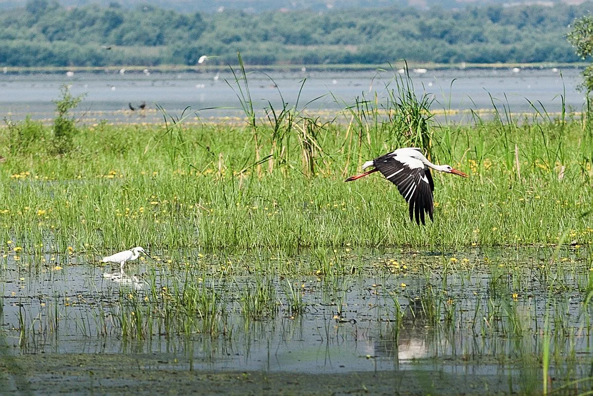 7 Reasons to Visit Moldova – 15