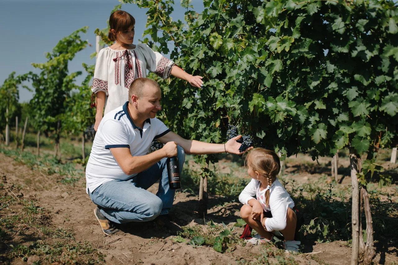 Vacanțe cu degustare de vinuri la Gogu Winery