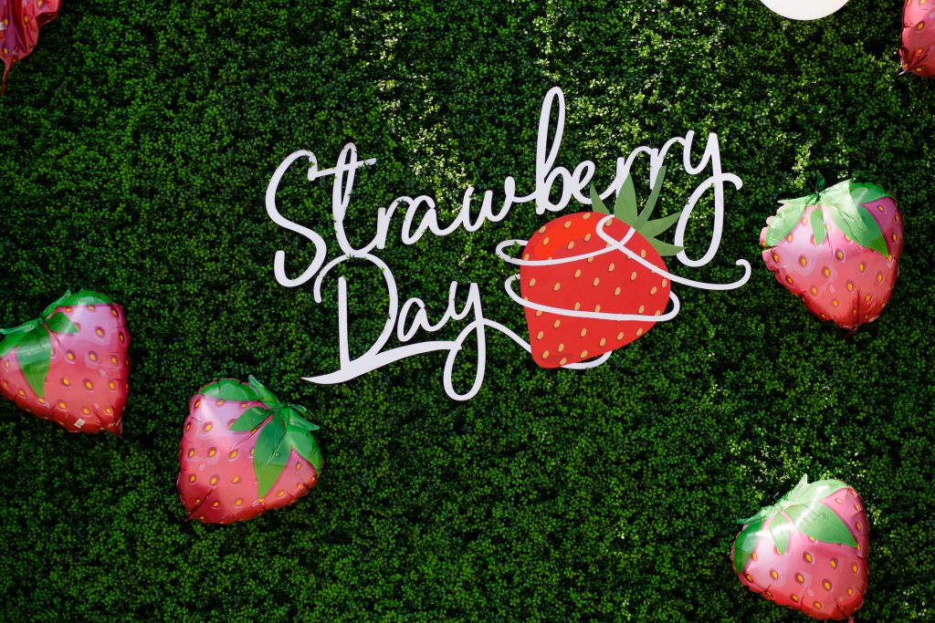 Strawberry & Wine Fest Moldova Travel